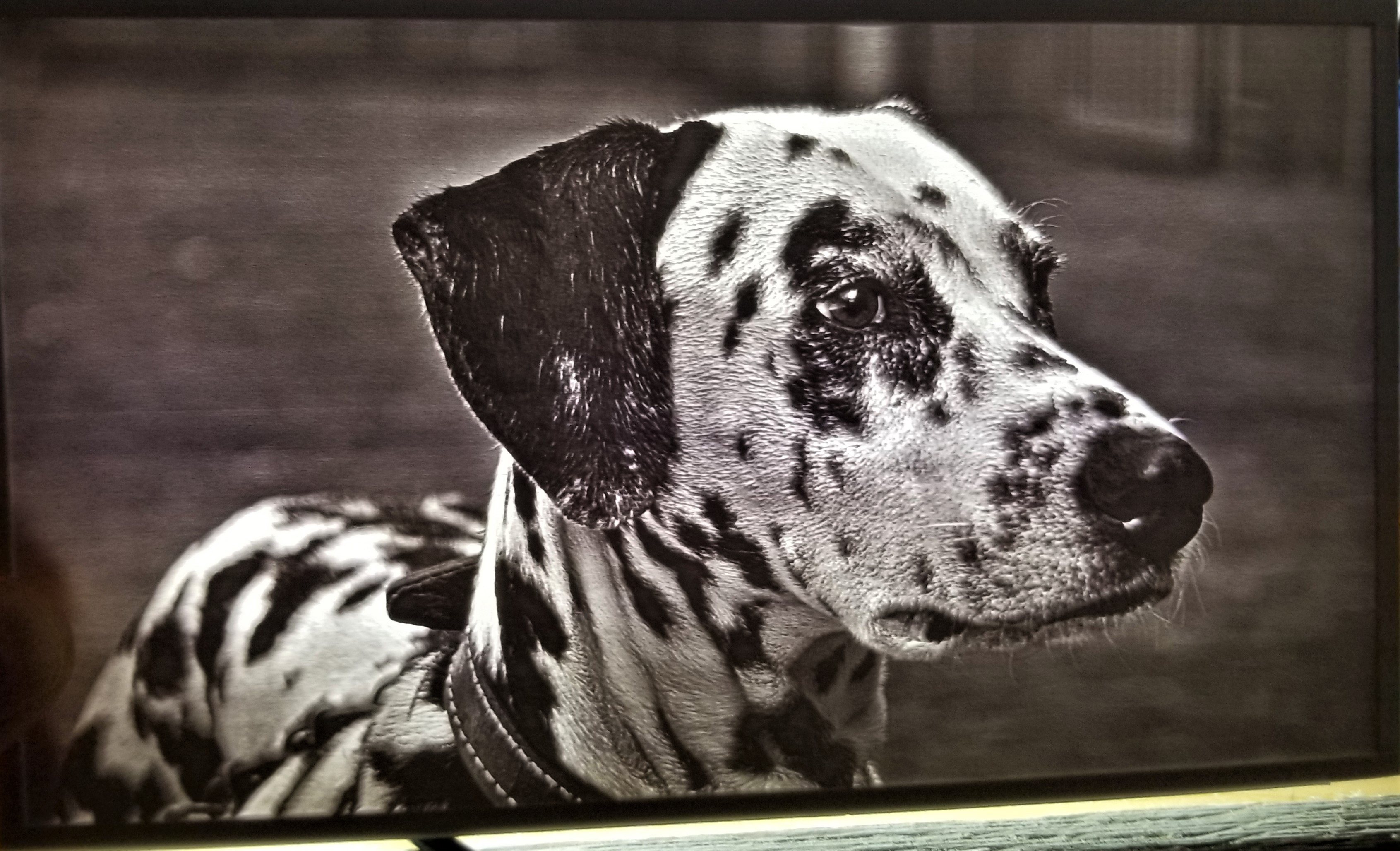 Dalmatian Lithophane