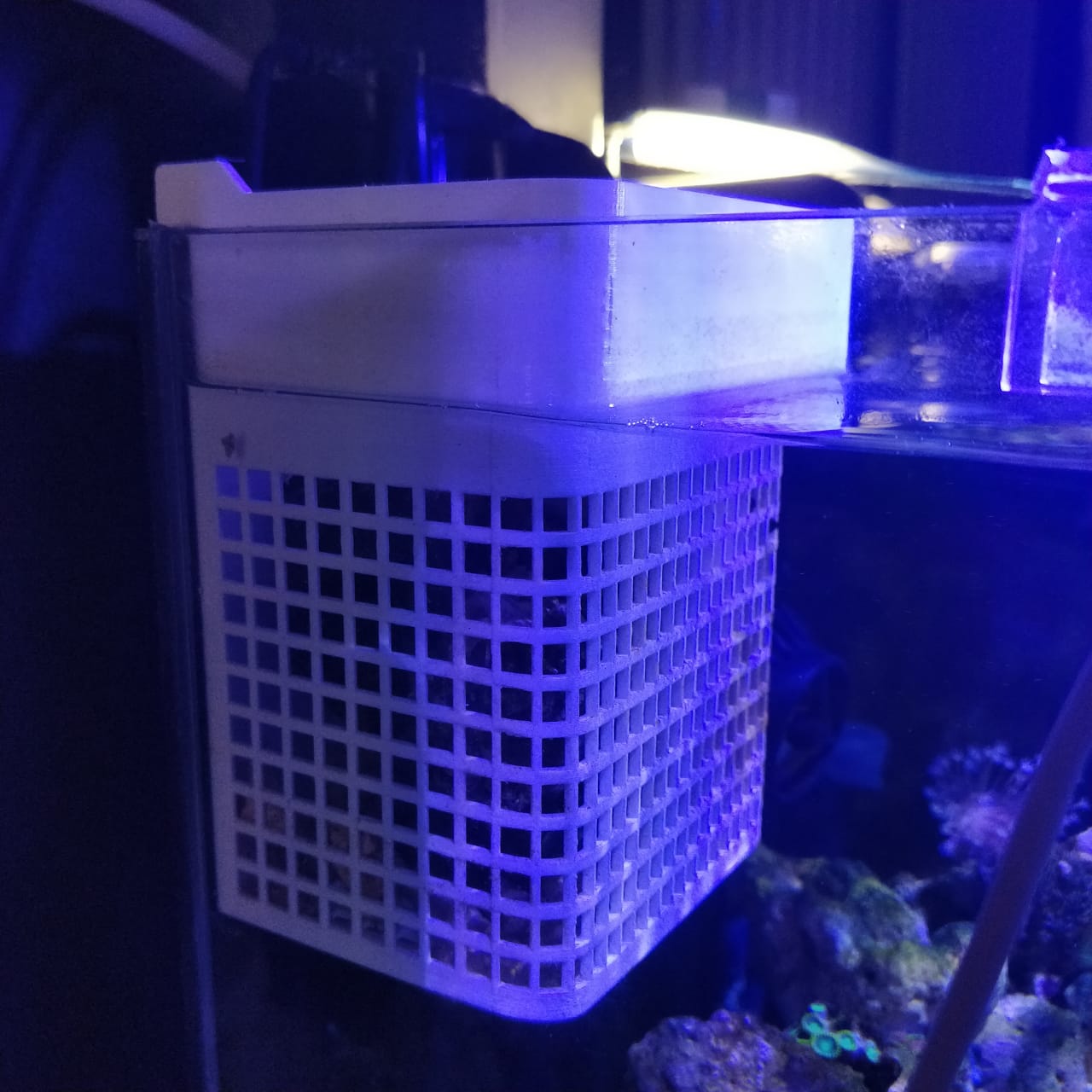 Breeding trap / Aquarium Planter / Fish Hospital for nano reef aquarium