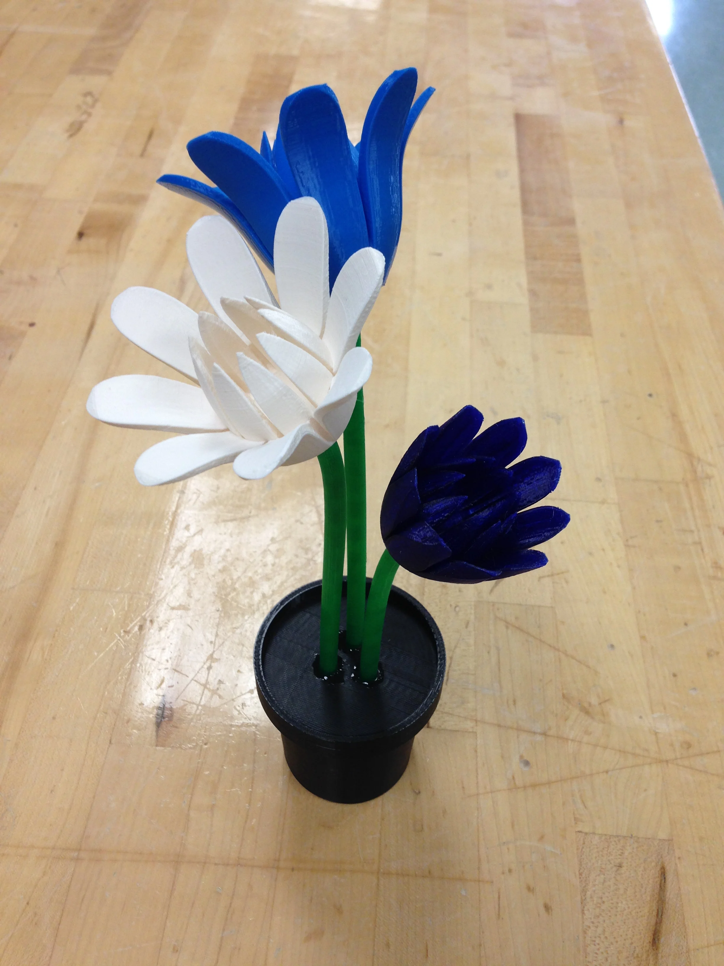 Flowers and Pot