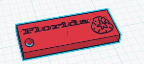 Florida tag