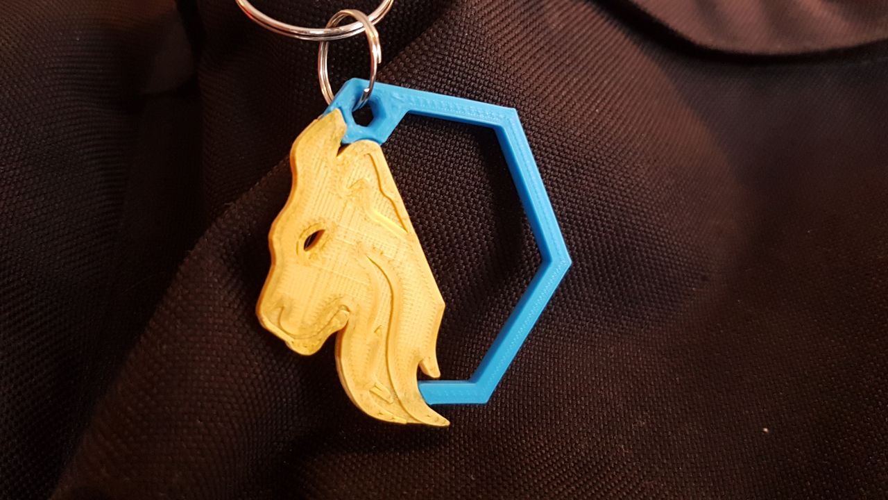 keychain lyon