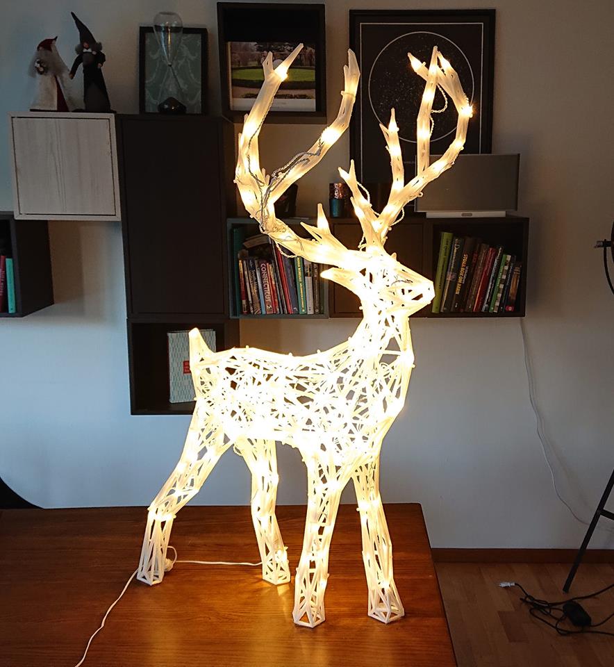 Reindeer