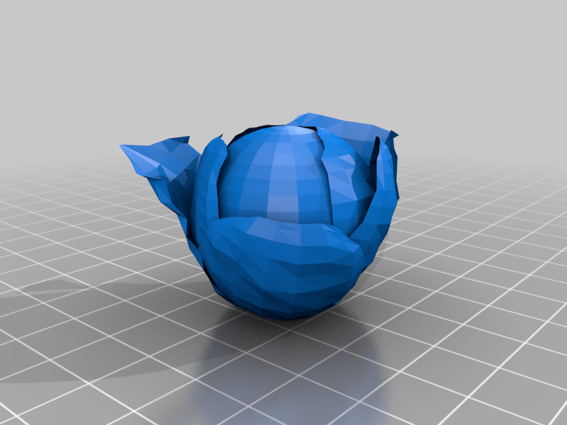 Cabbage-