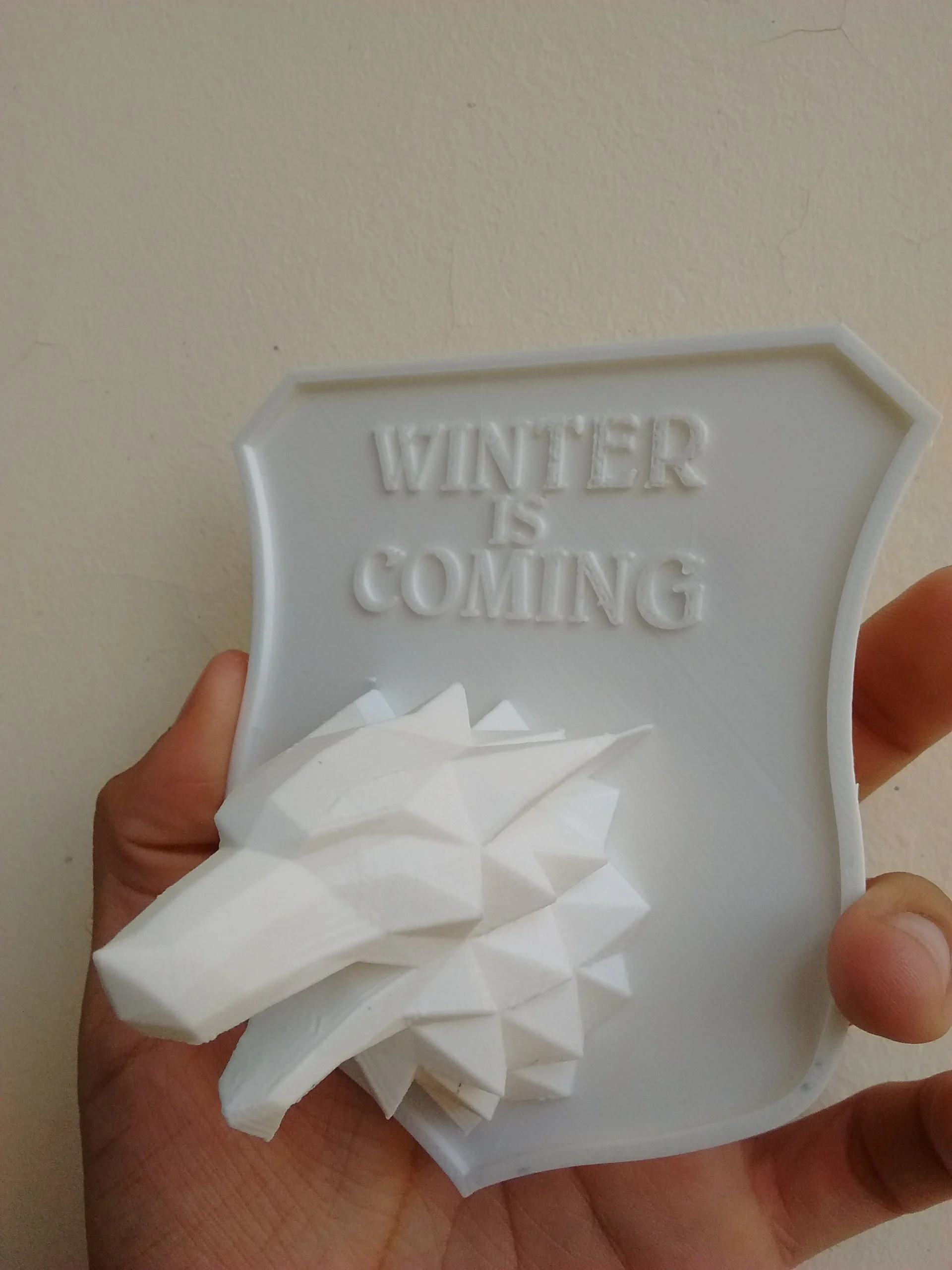 "Winter Is Coming" - Stark Sigil