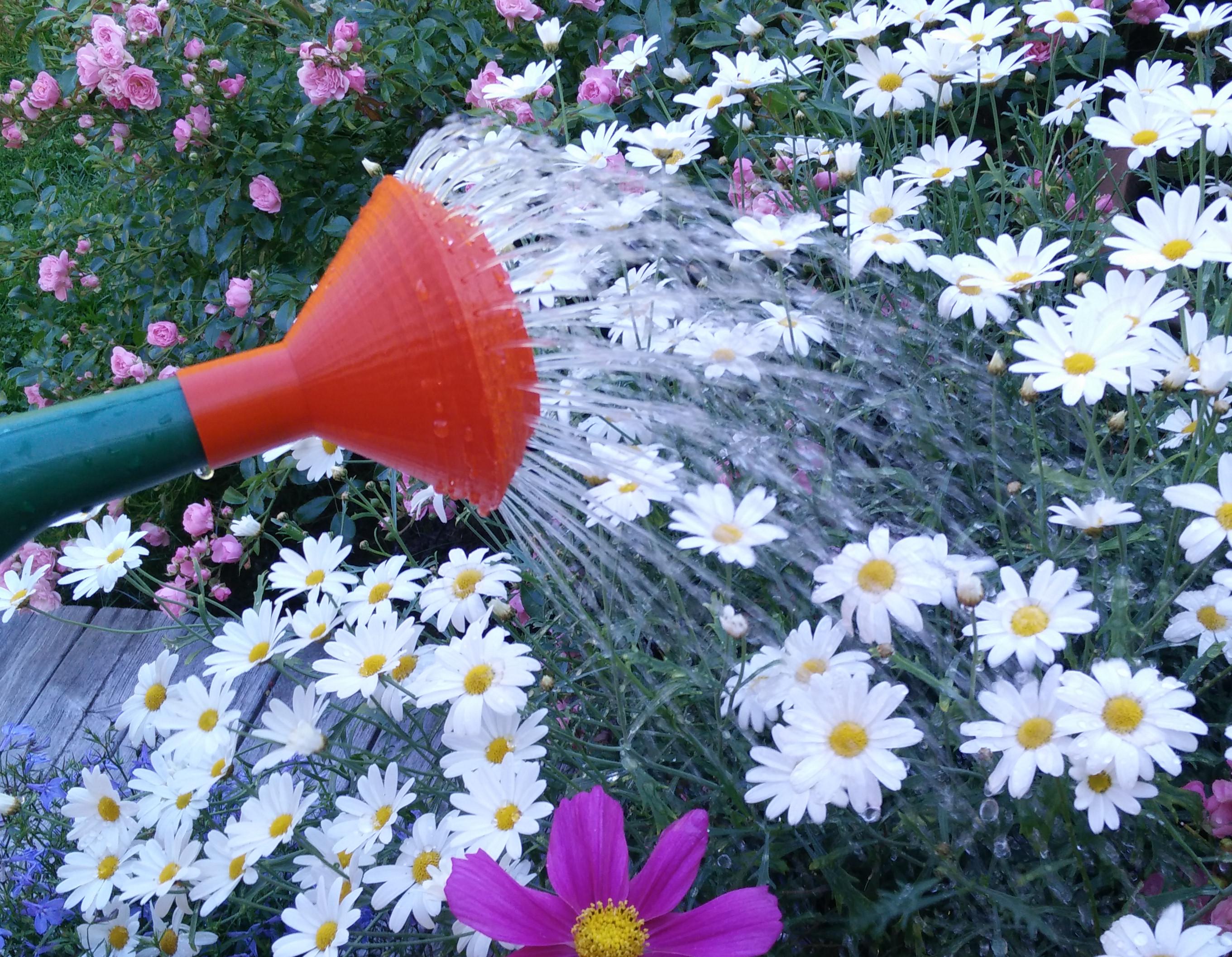 Parametric sprinkle nozzle for watering can