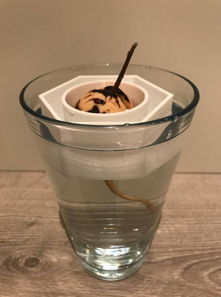 Avocado hex boat