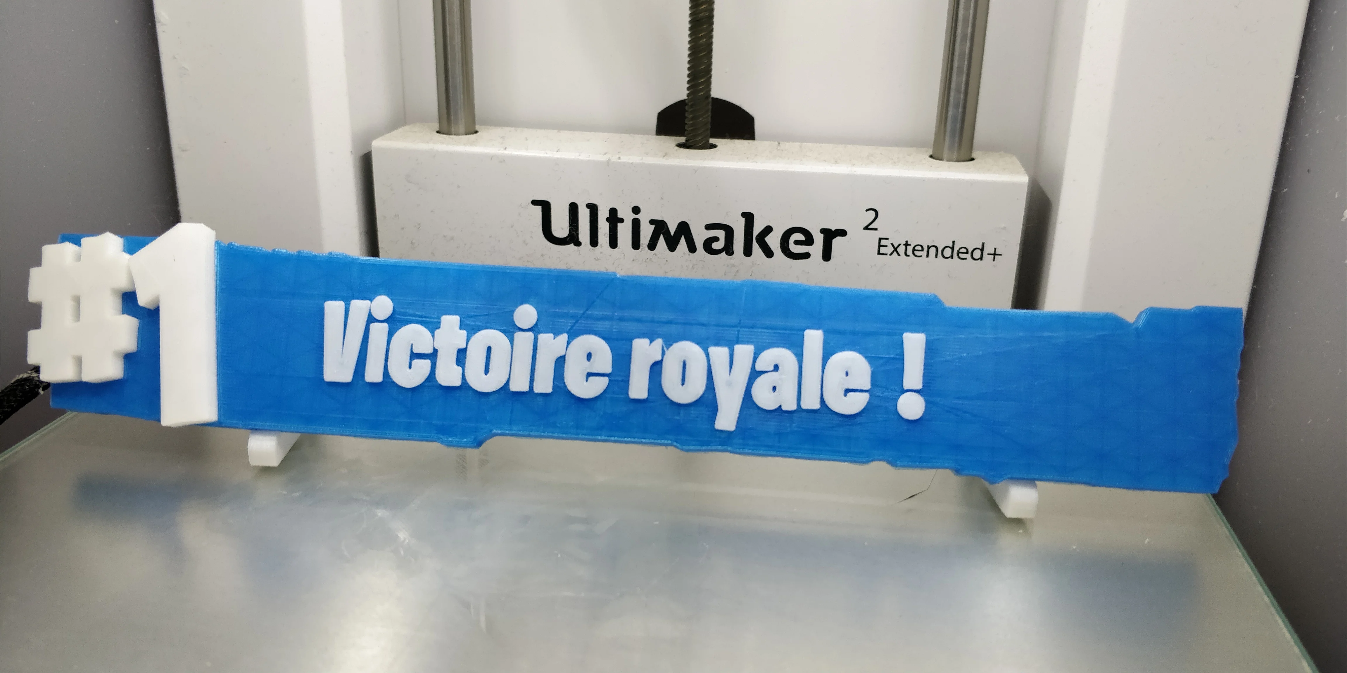 FORTNITE - TOP 1 - Victoire royale - Victory Royale - Victoria Magistral