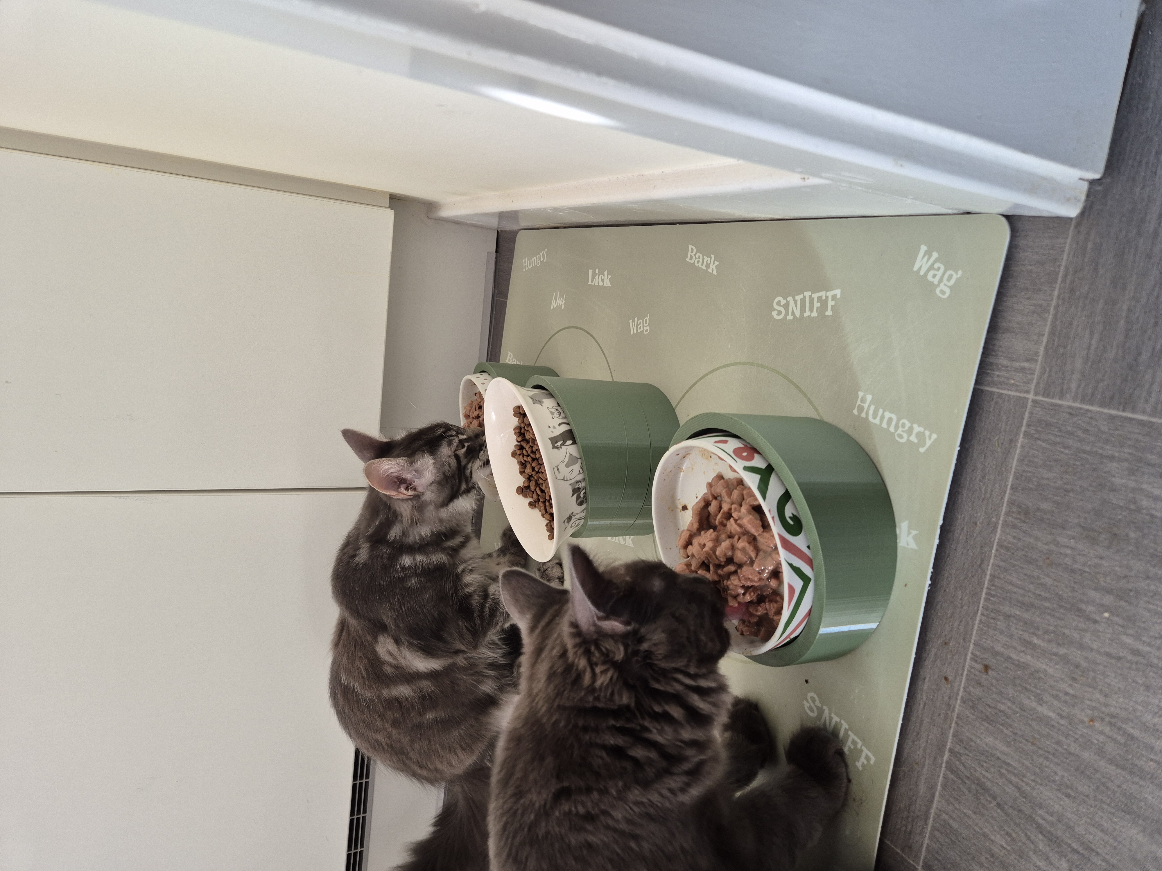 Pet Food bowl riser & tilt with adjustable height