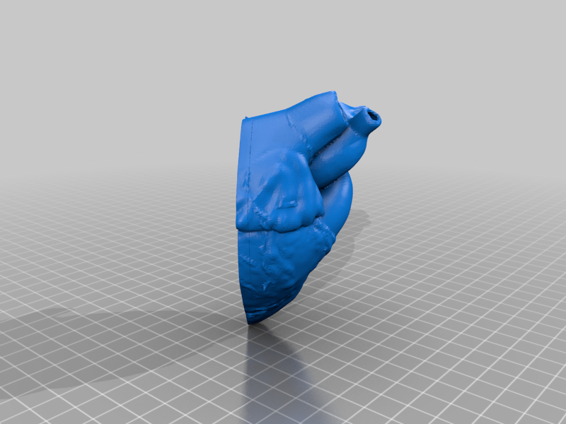 Anatomically Accurate Heart Model - Printable with embedded magnets