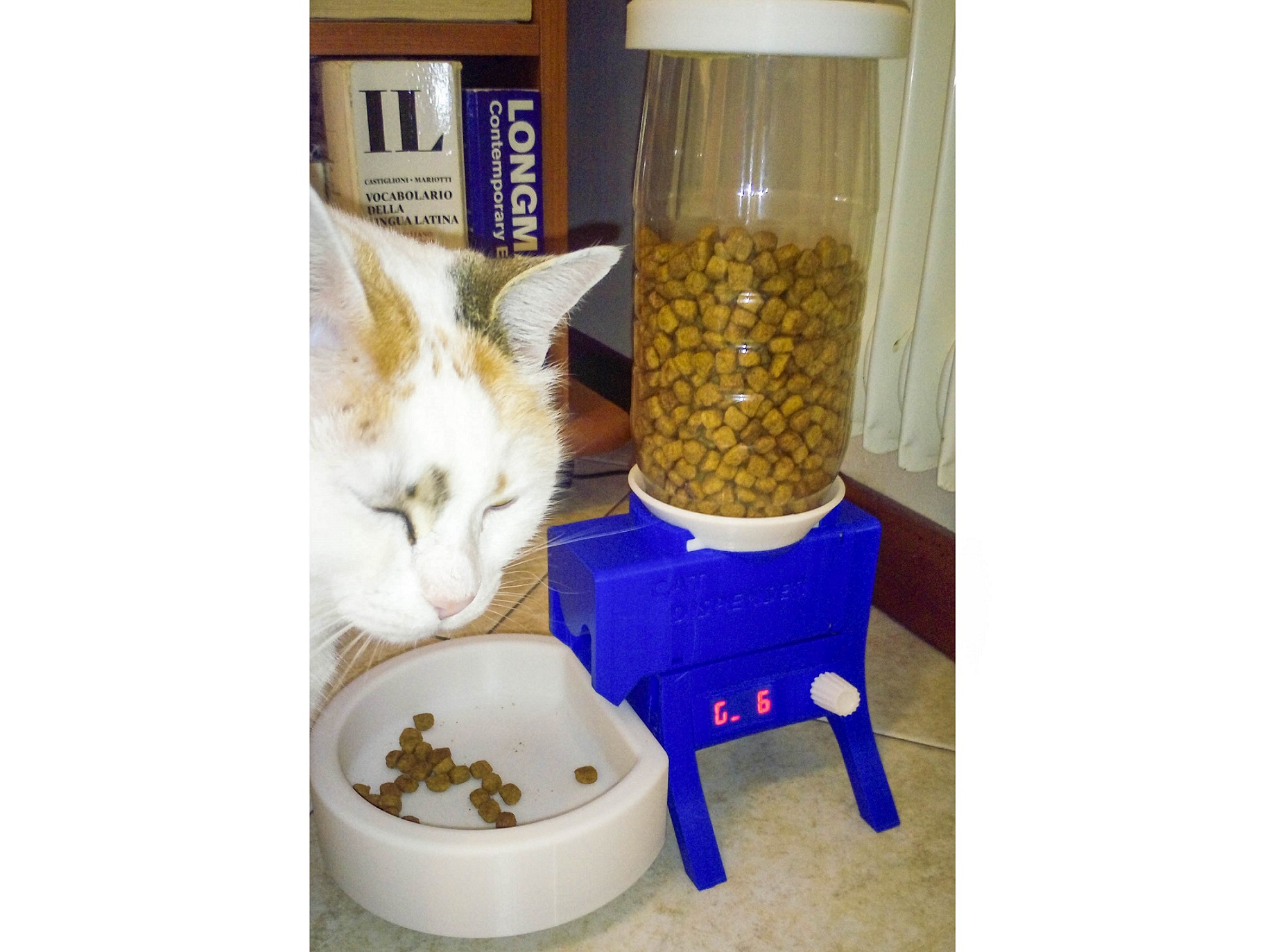 Cat food dispenser