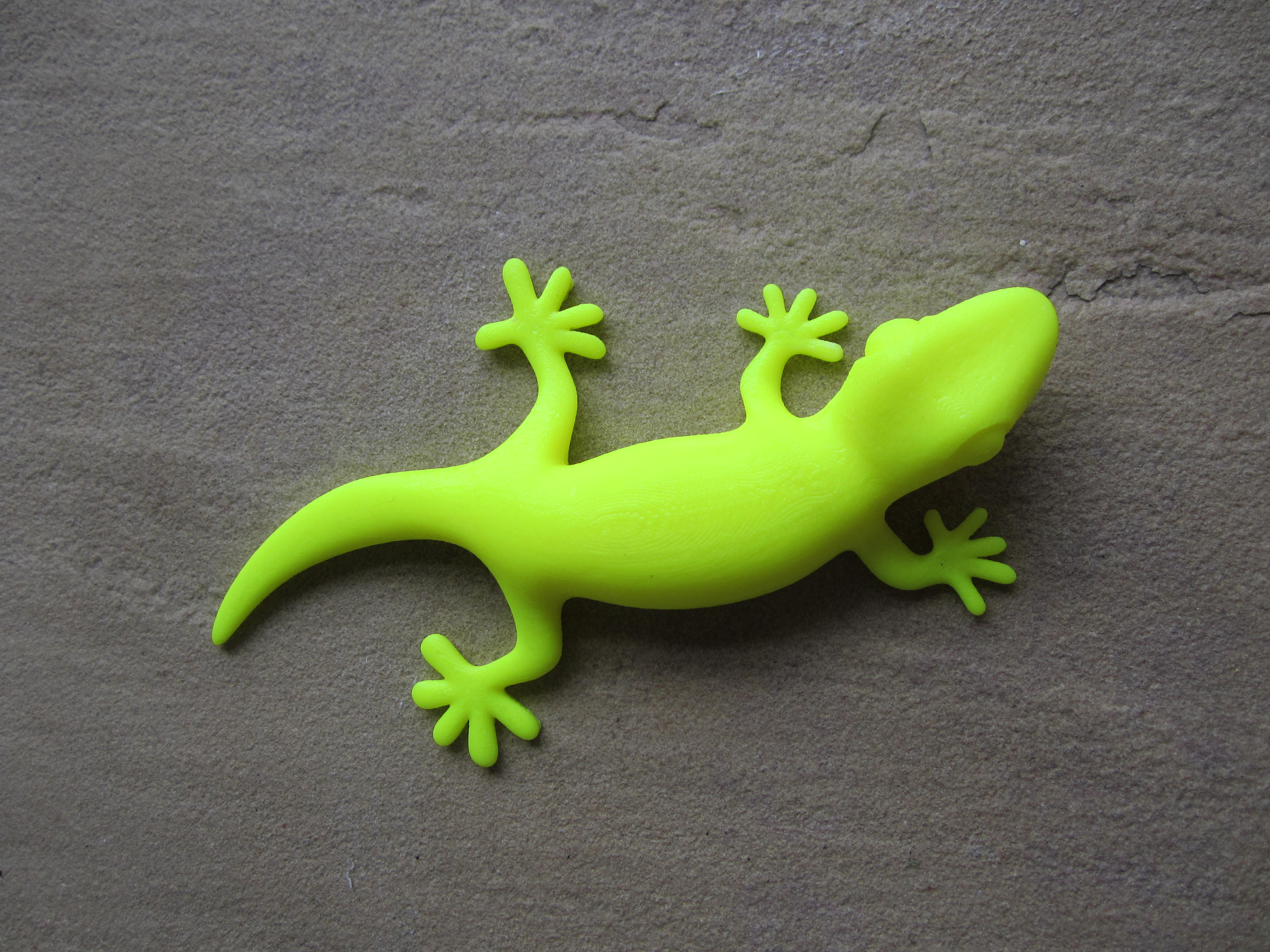 Gecko