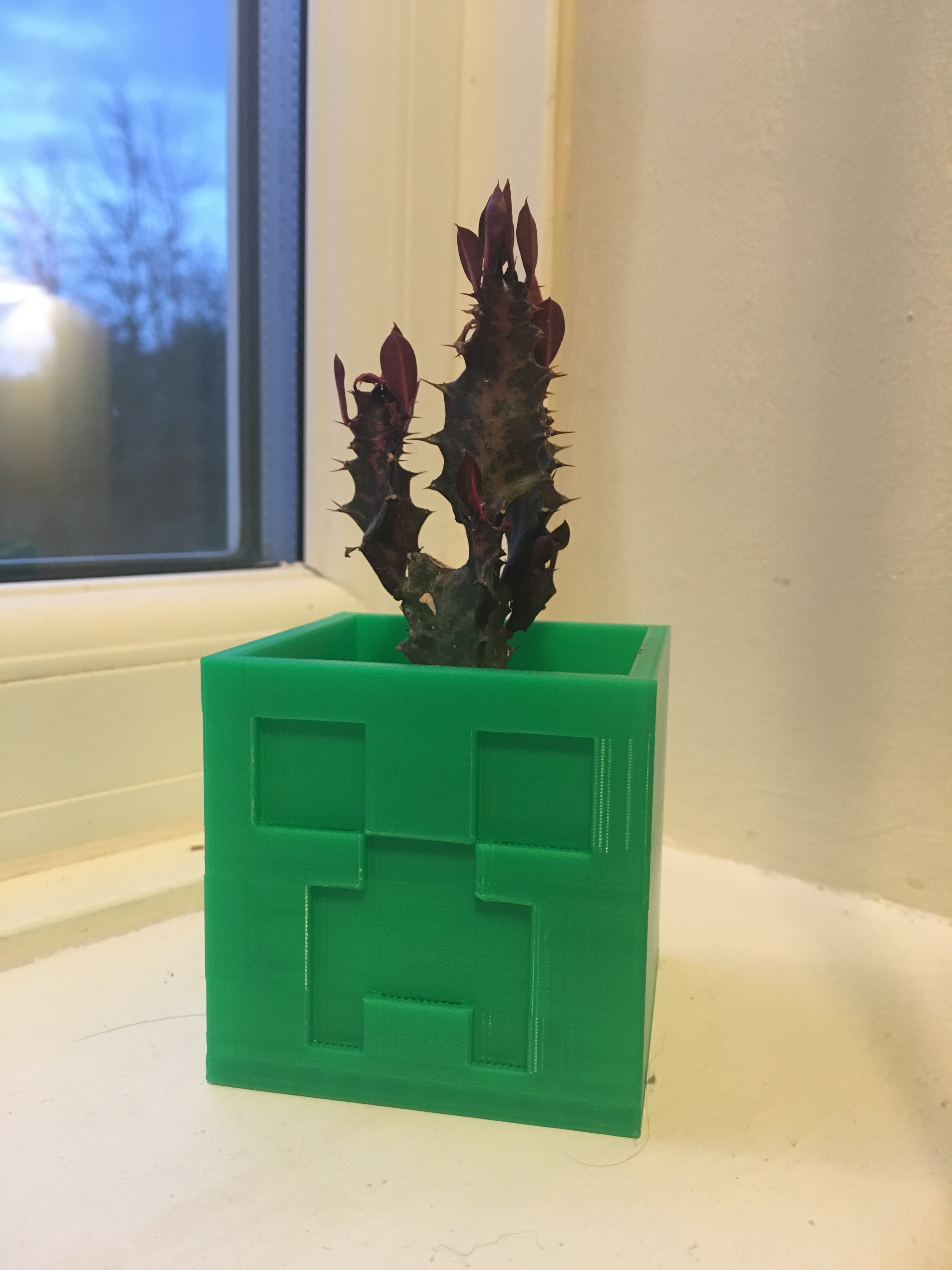 Minecraft Creeper Planter / Pot
