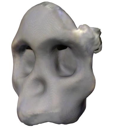Australopithicus Africanus (Taung Child Skull Fragment)