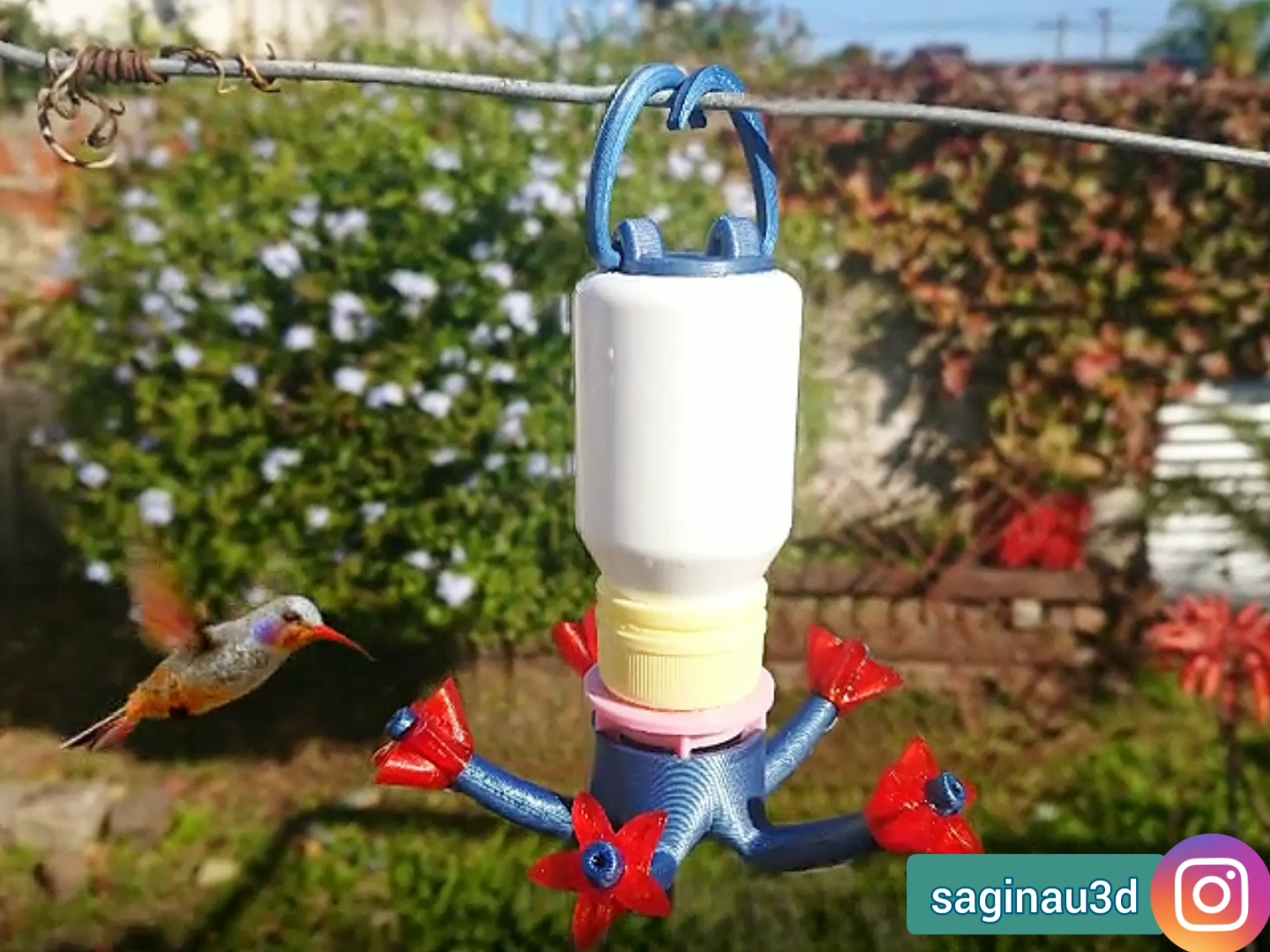 bebedero colibrí, hummingbird feeder
