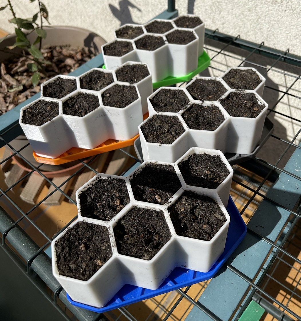 Starter Plant Grower