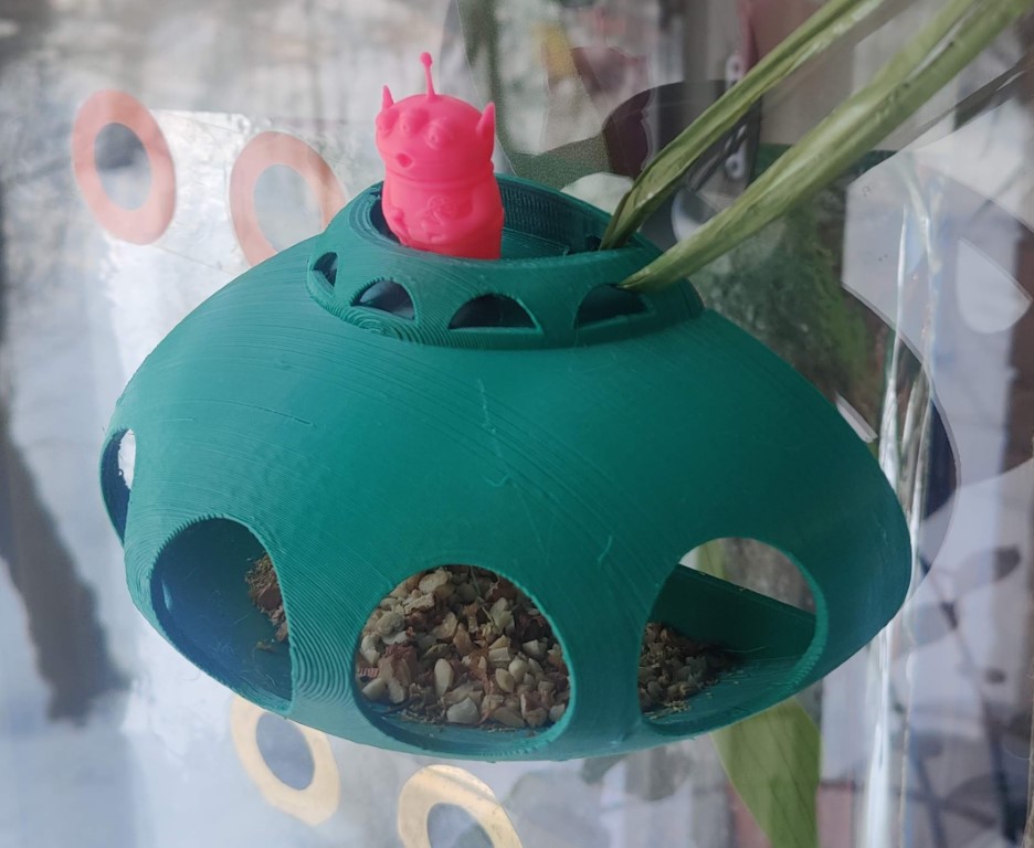 Window bird feeder from outer space.