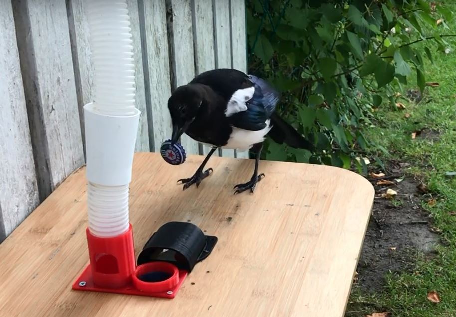 BirdBox