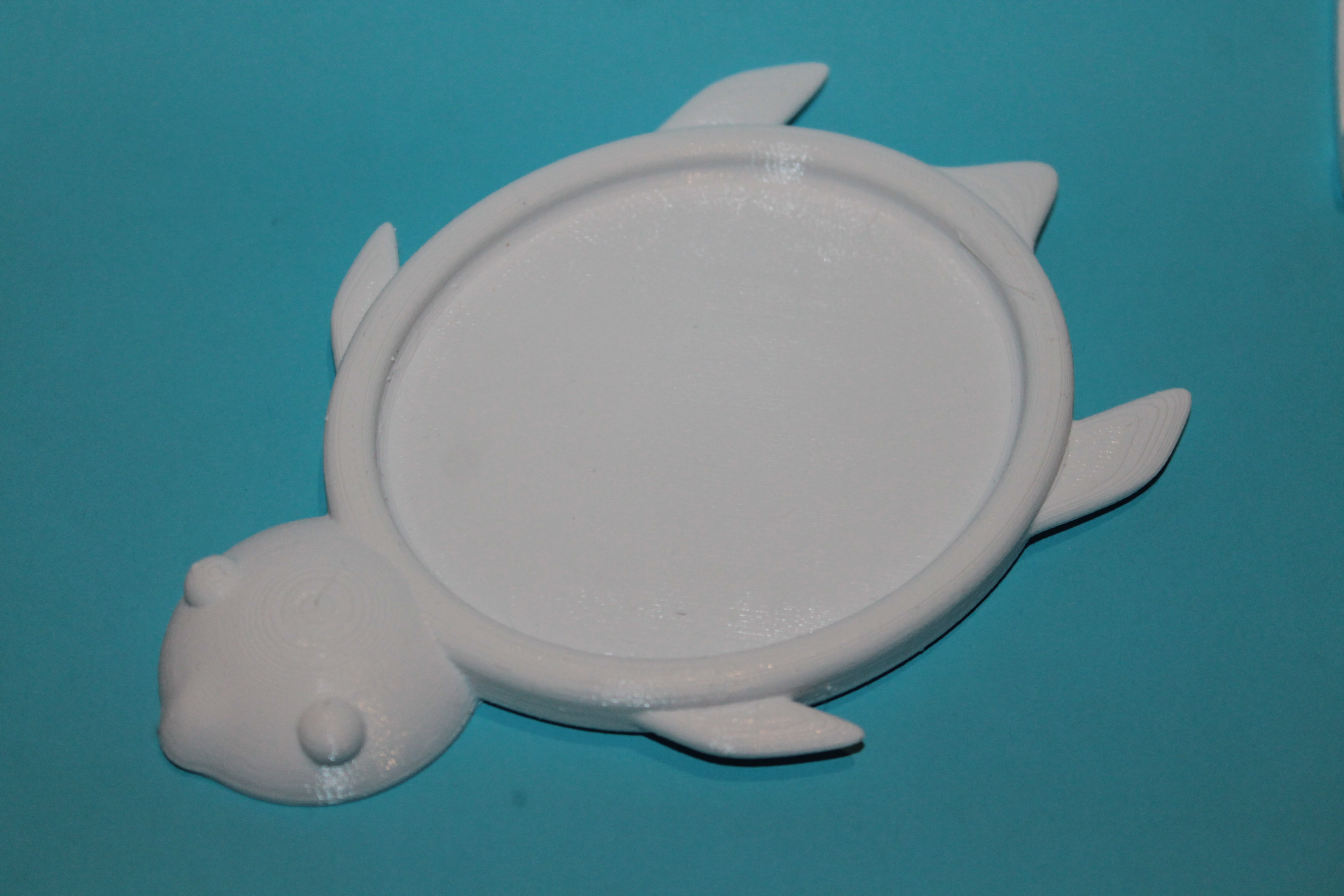 sous verre tortue - under glass turtle