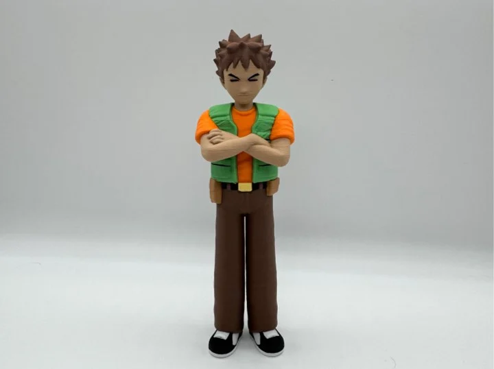 Brock Multicolor