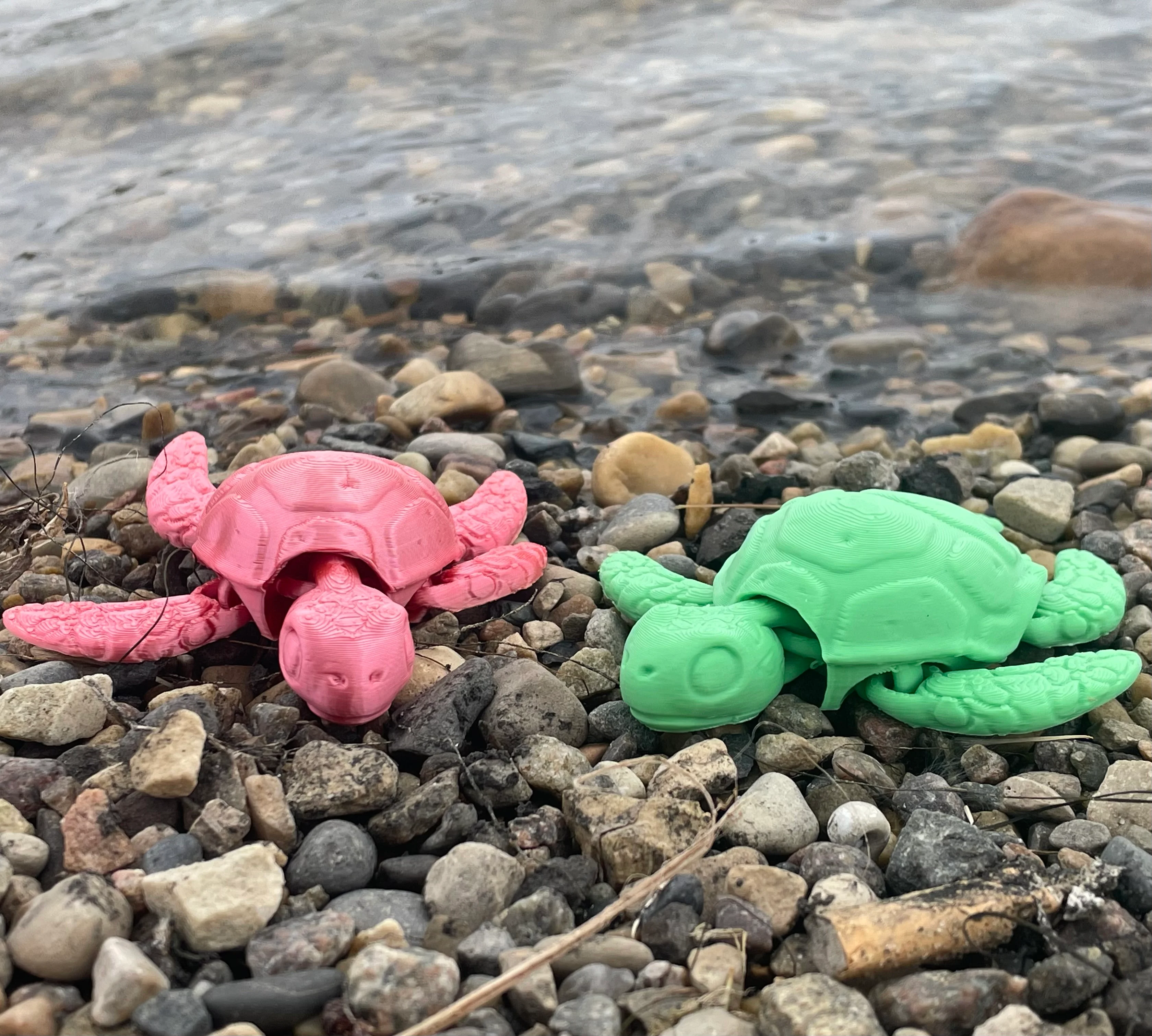 baby articulated turtle