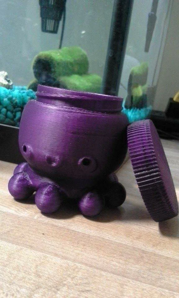 Kawaii Octopus - Threaded Holder/Container