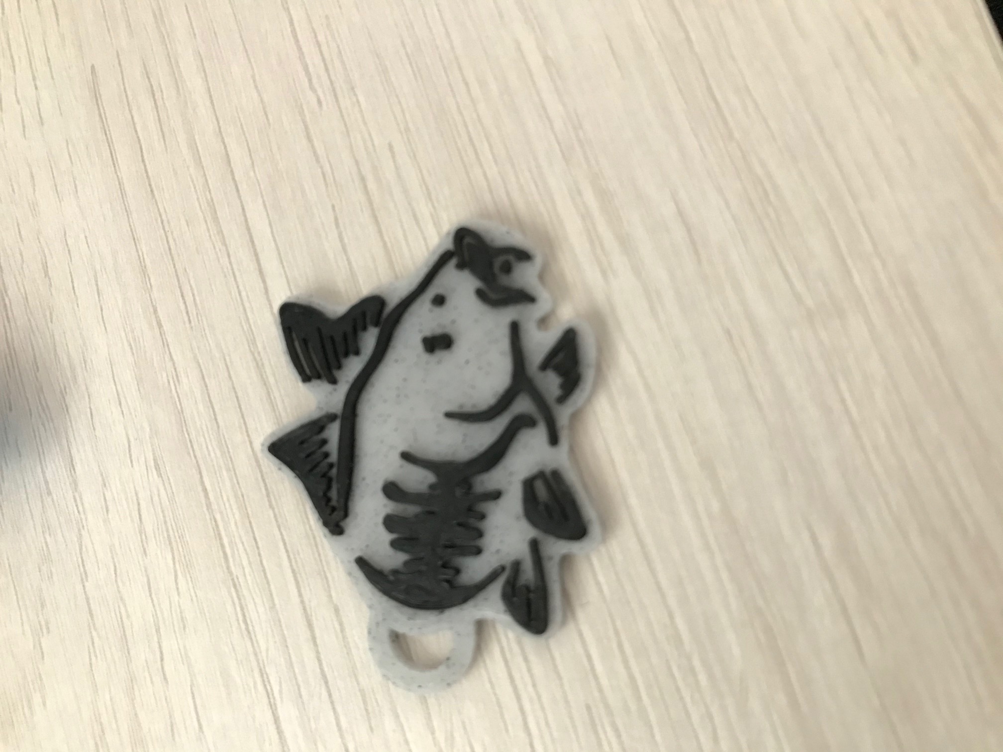 keychain carp