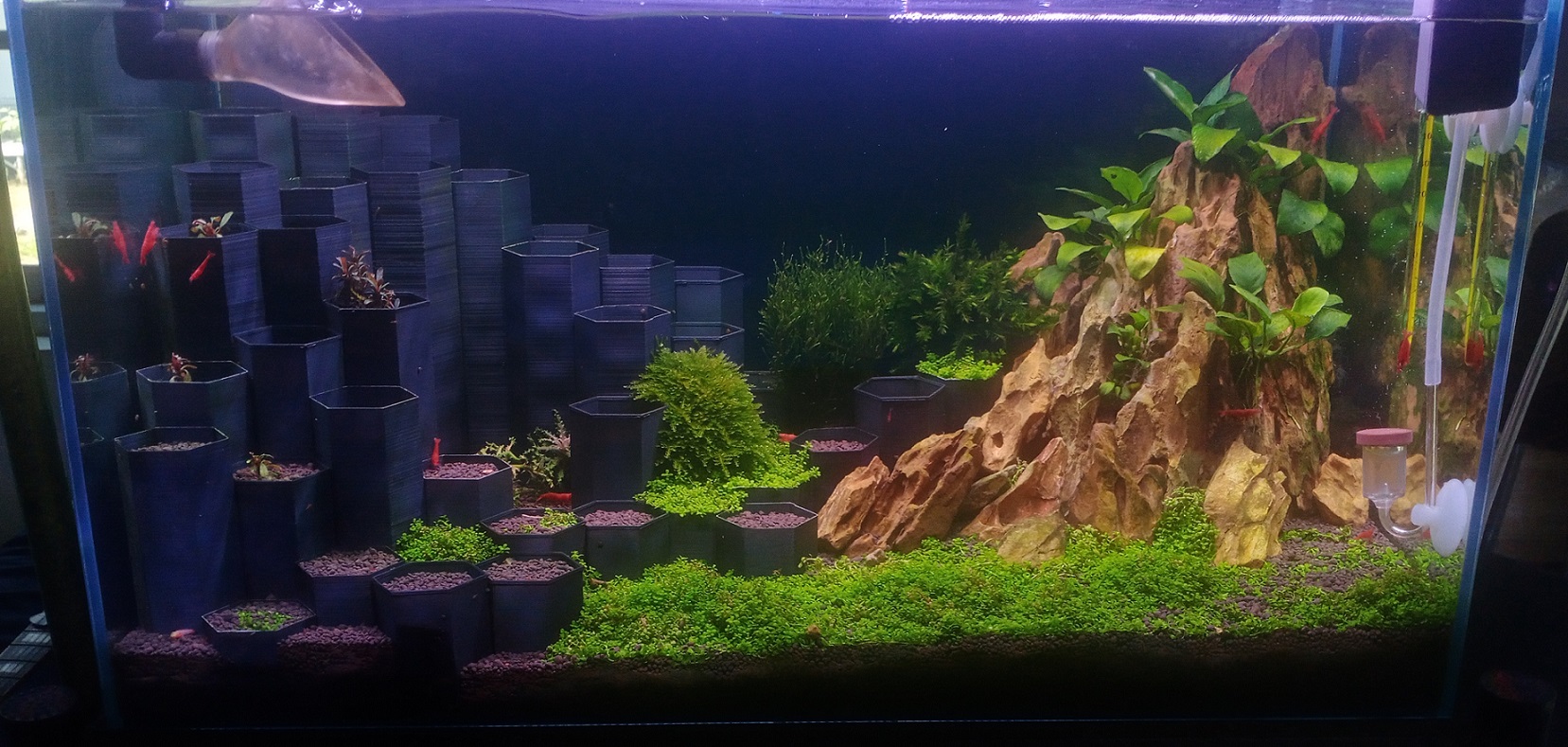 Hexagon aquascape Block
