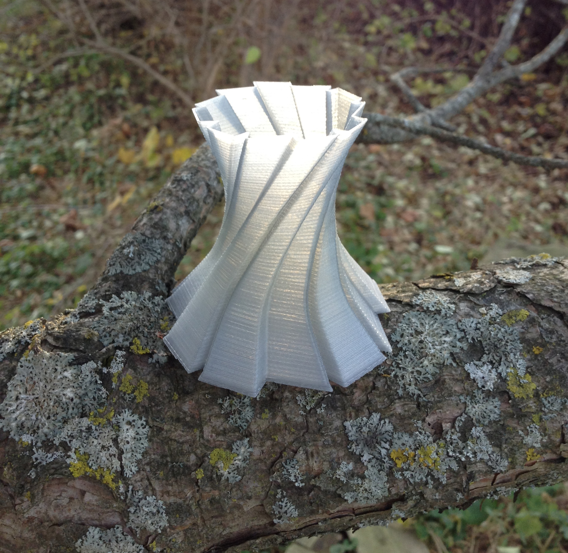 Freeform Vase
