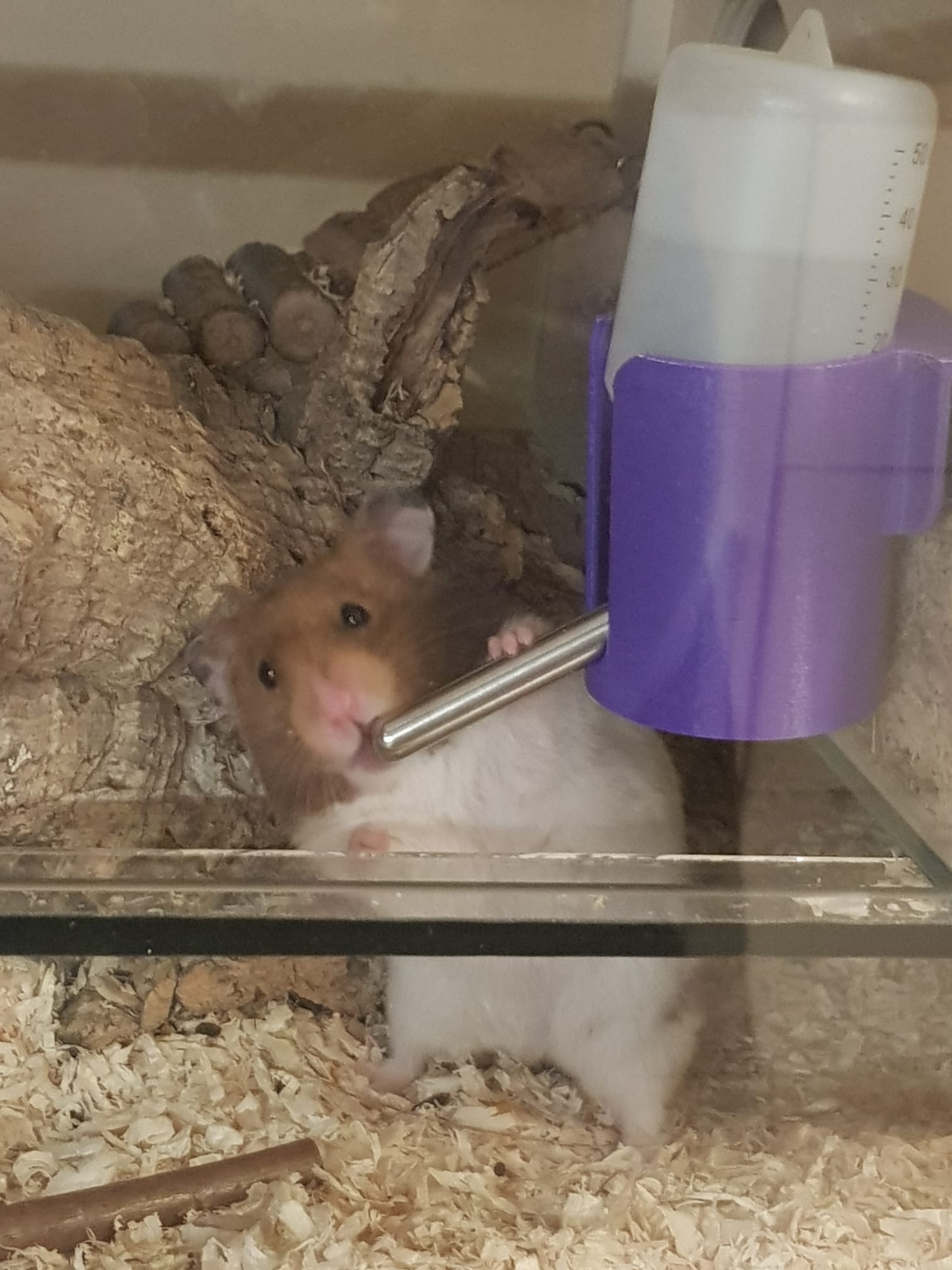 Hamstertraenke Halter (klein)