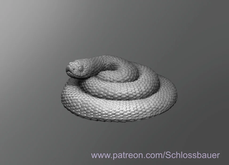 Hognose Snake