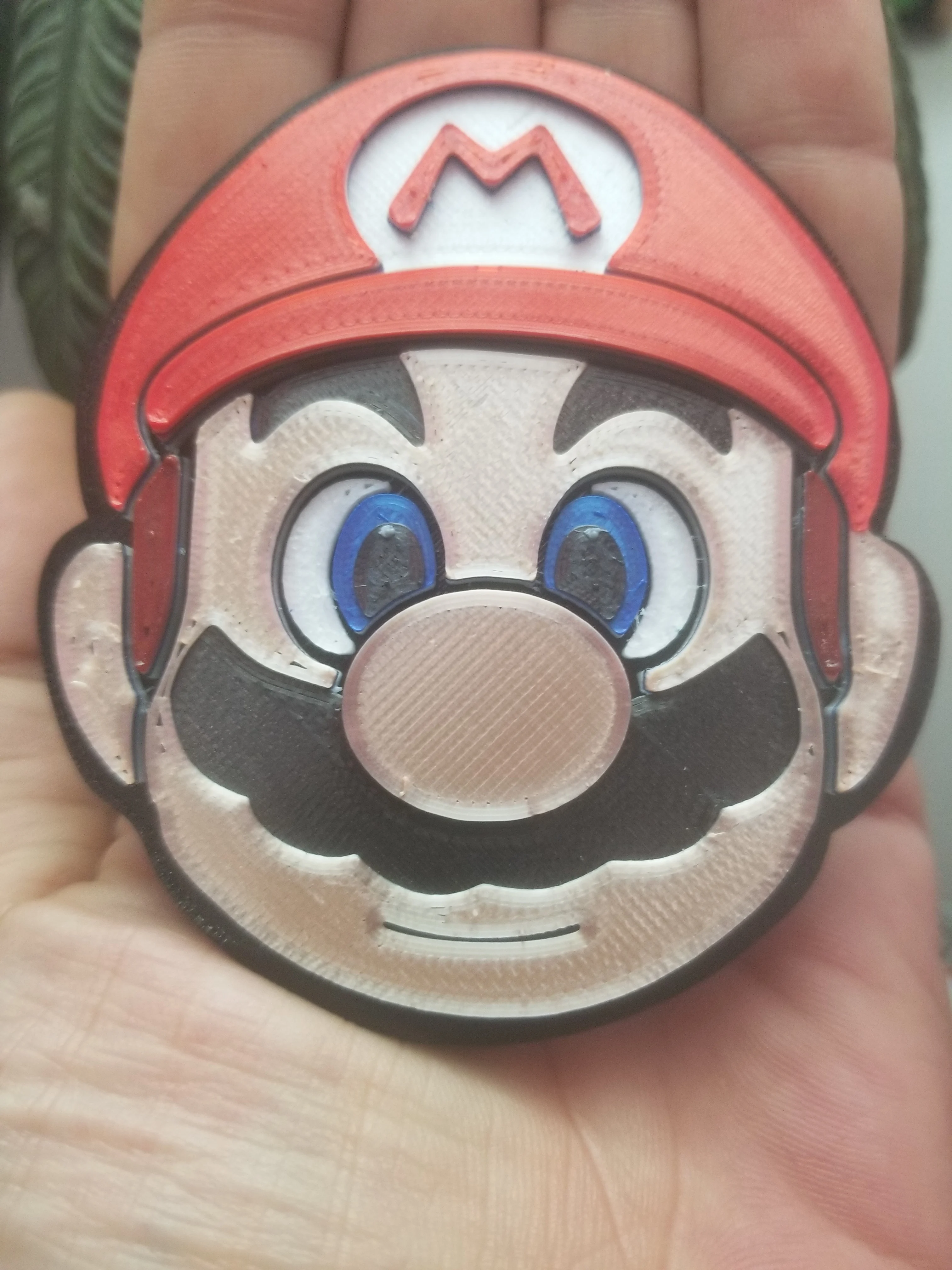 Super Mario portrait