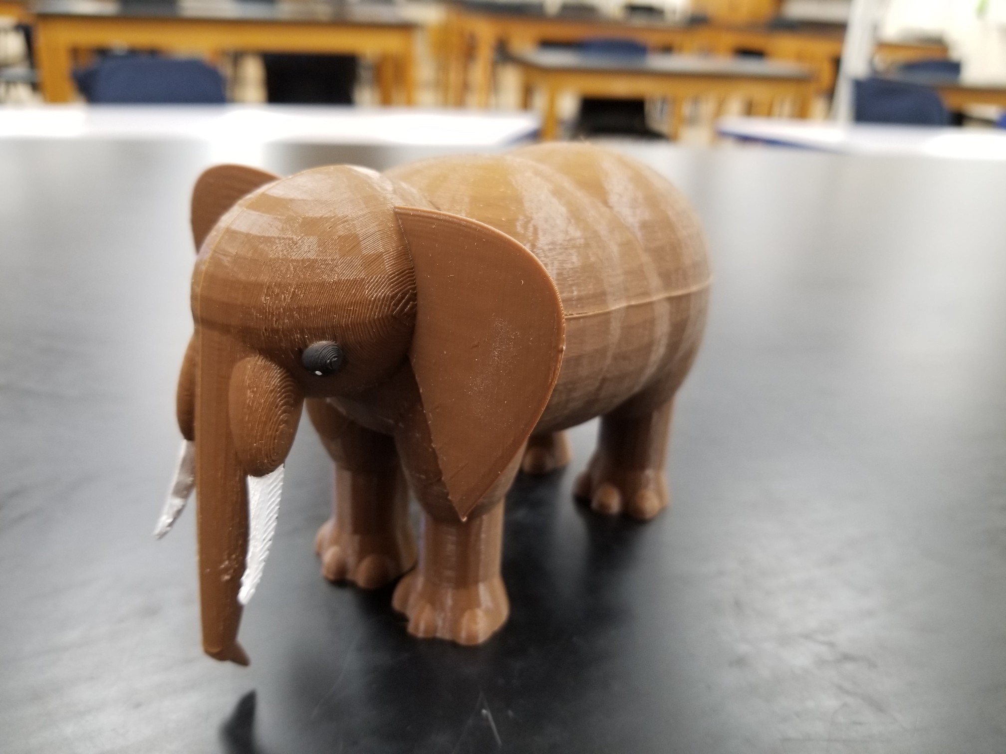 Asian Elephant