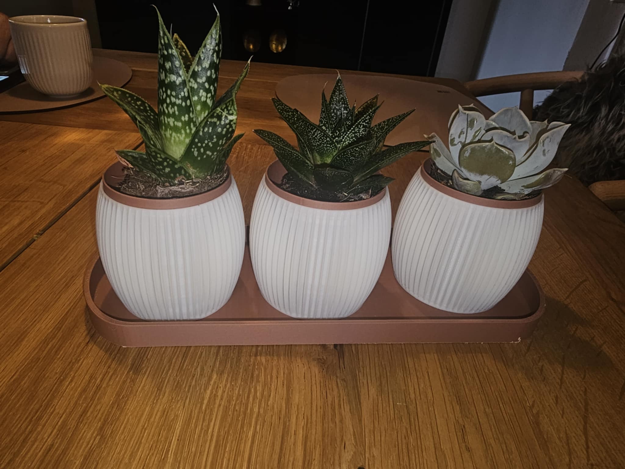 Mini Vase Trio on Tray
