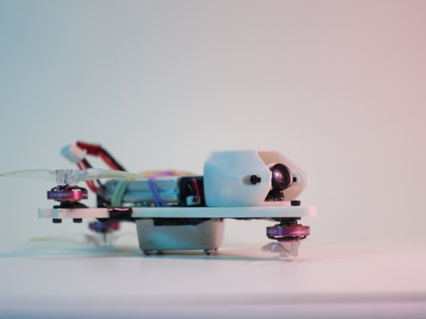 Victoria Micro