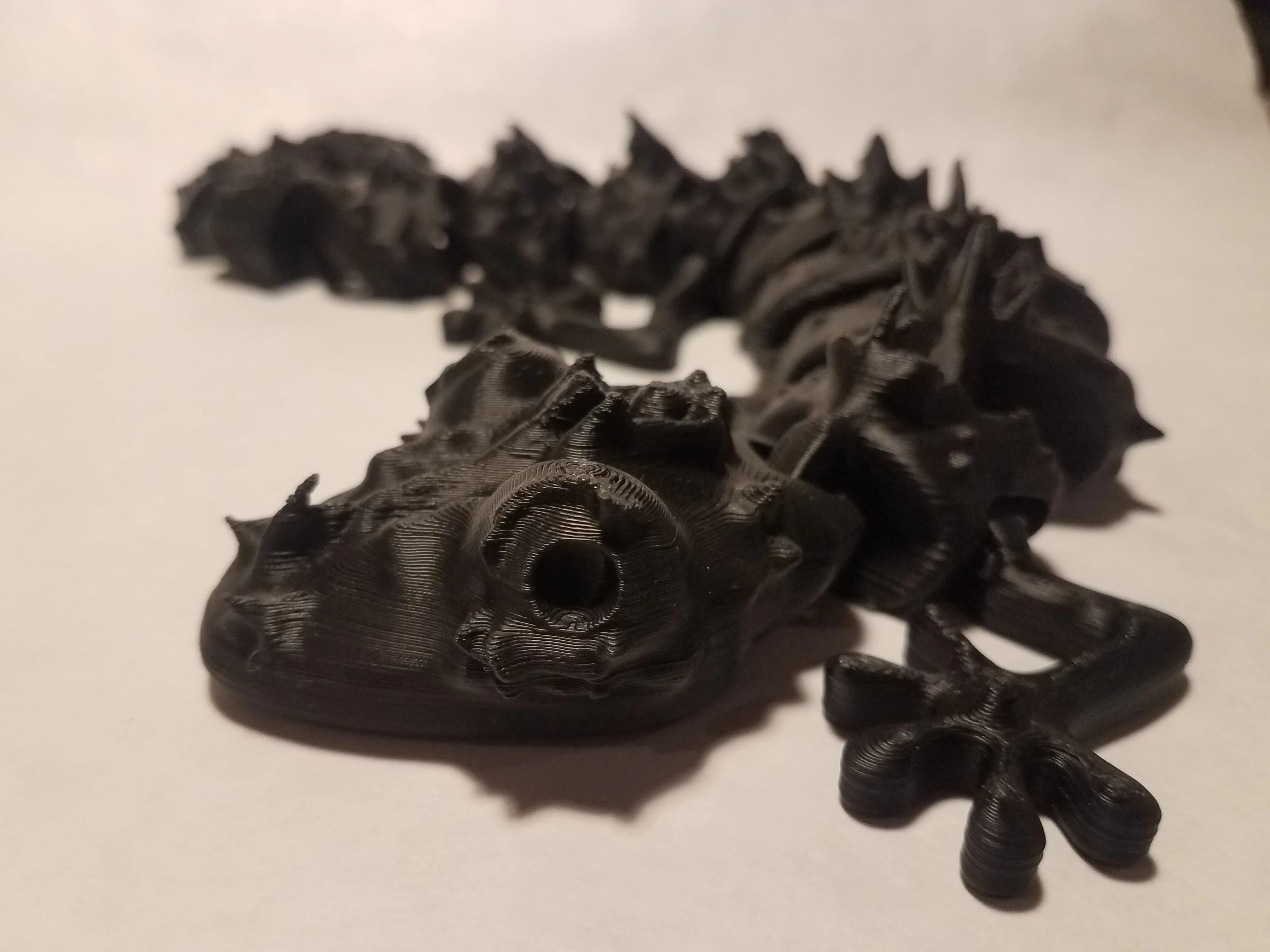 Curled Horned Articulated Lizard