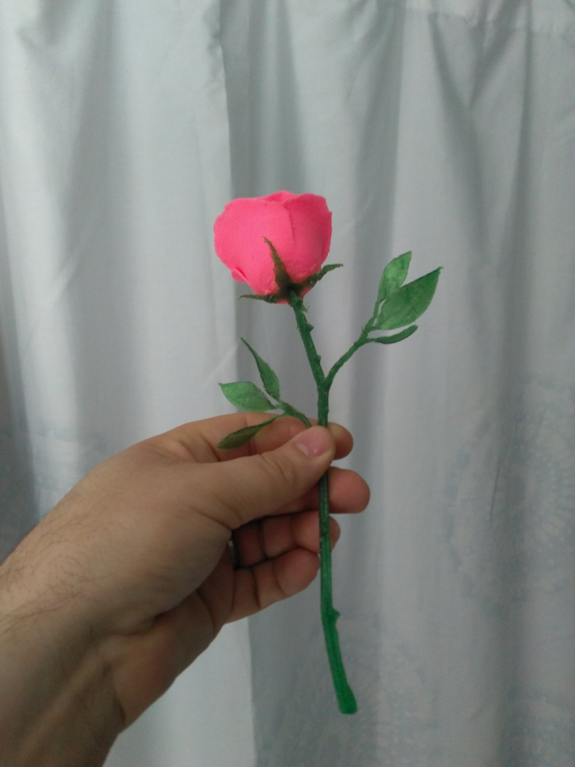 Rose and thorn stem