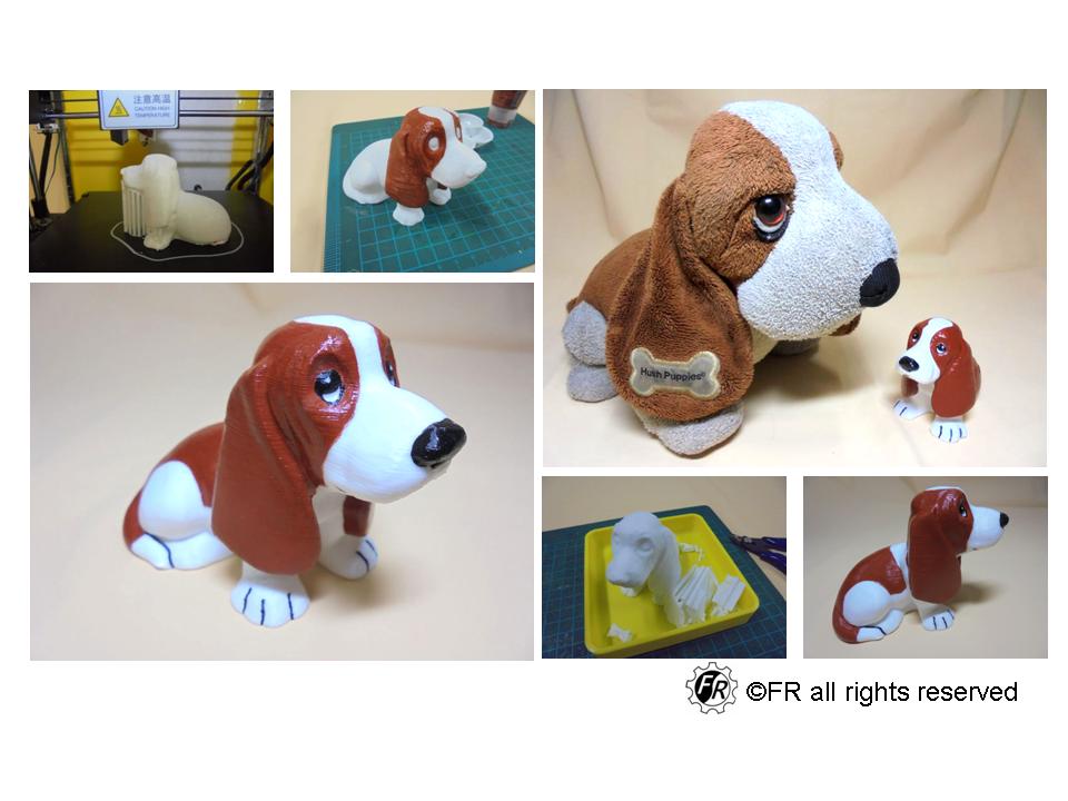 Basset hound_Bone / 巴吉度_骨頭
