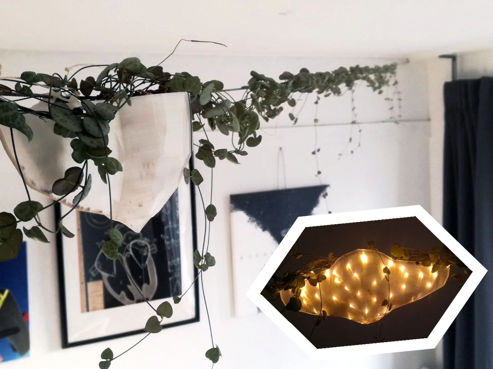 Suspended planter