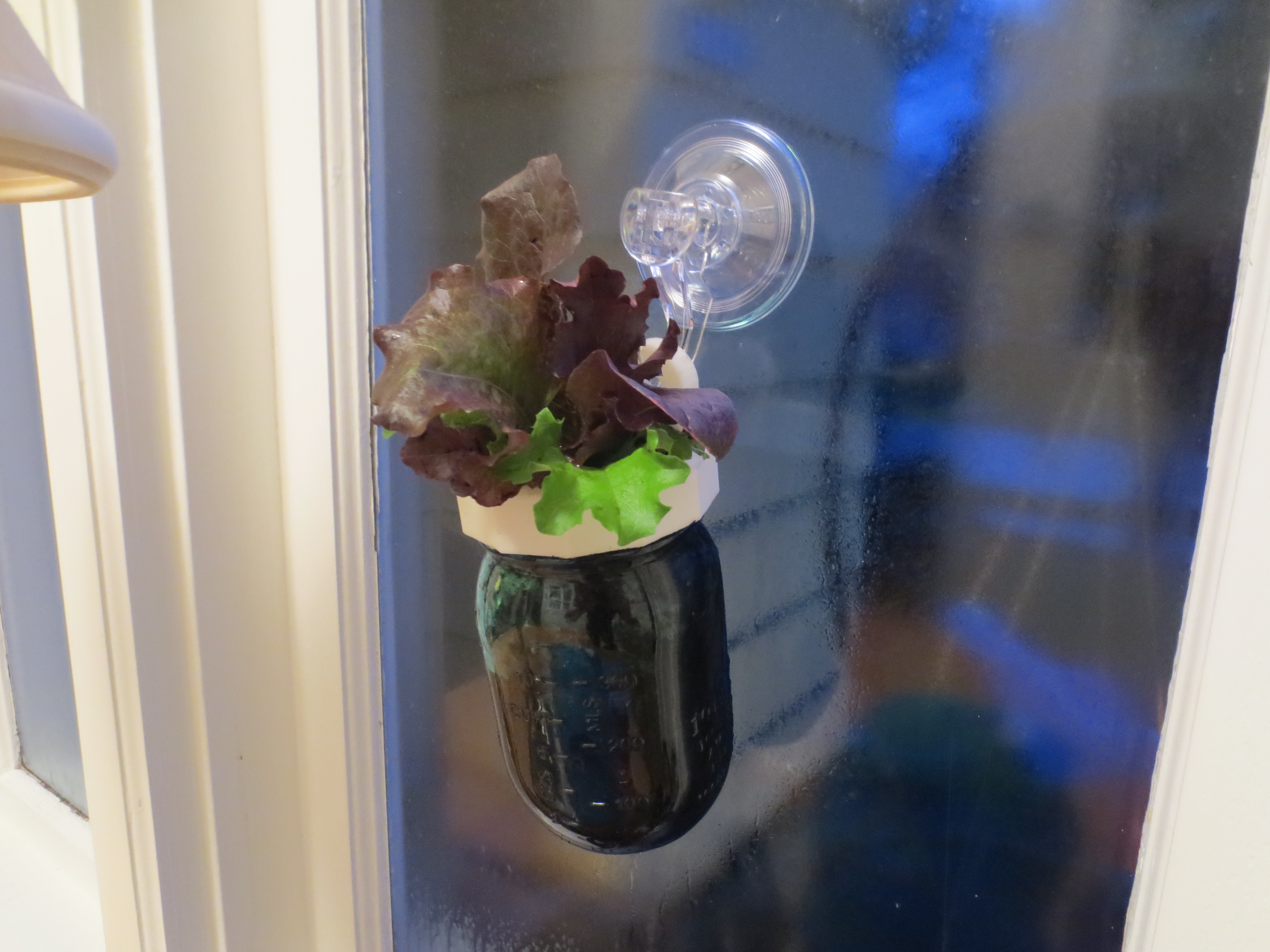 Hanging Mason Jar Window Planter