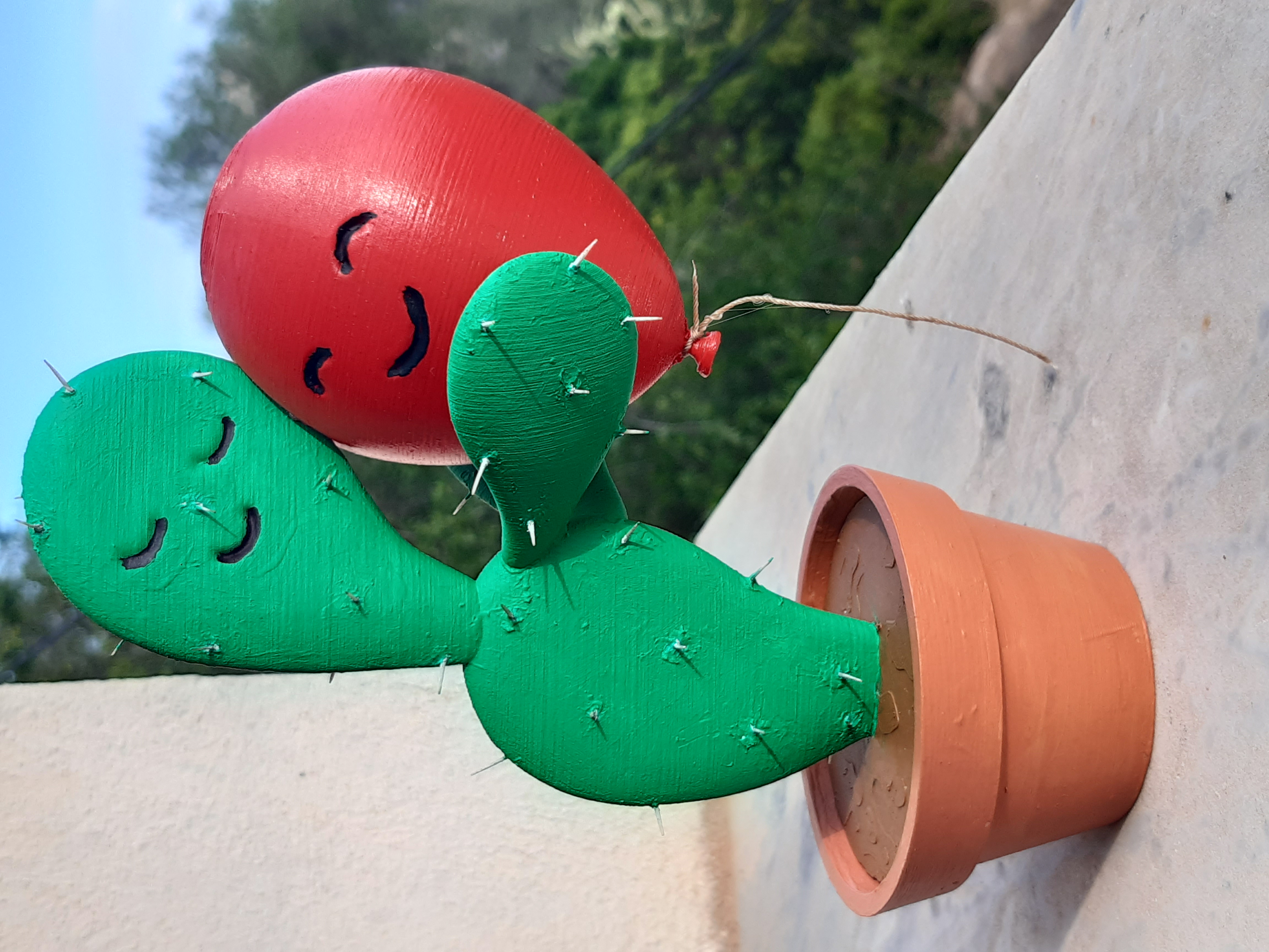 Fico d'India e palloncino