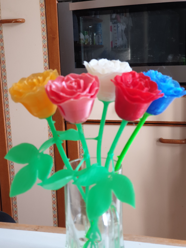 ROSE STEM and LEAVE