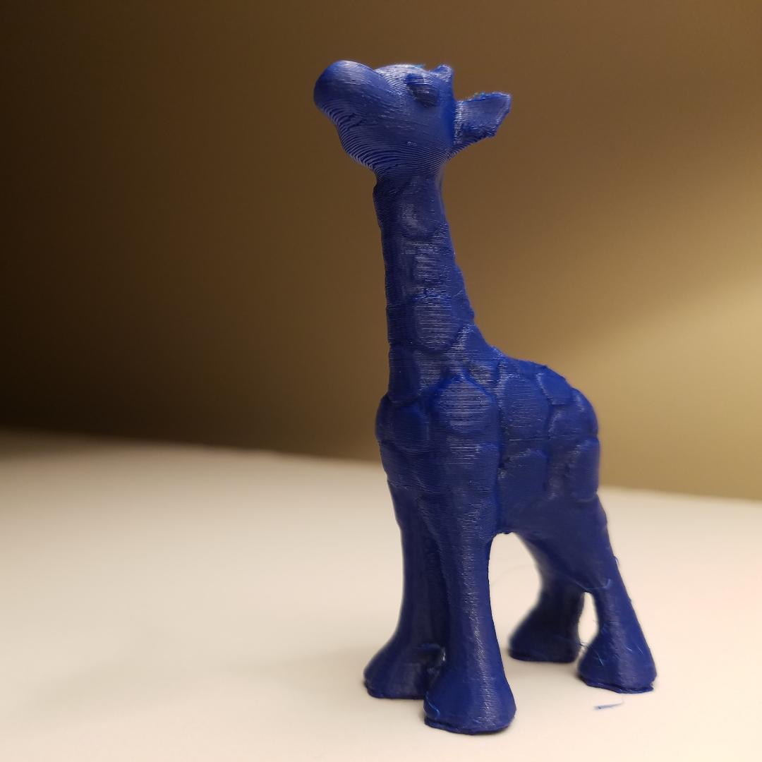 Spotted Giraffe