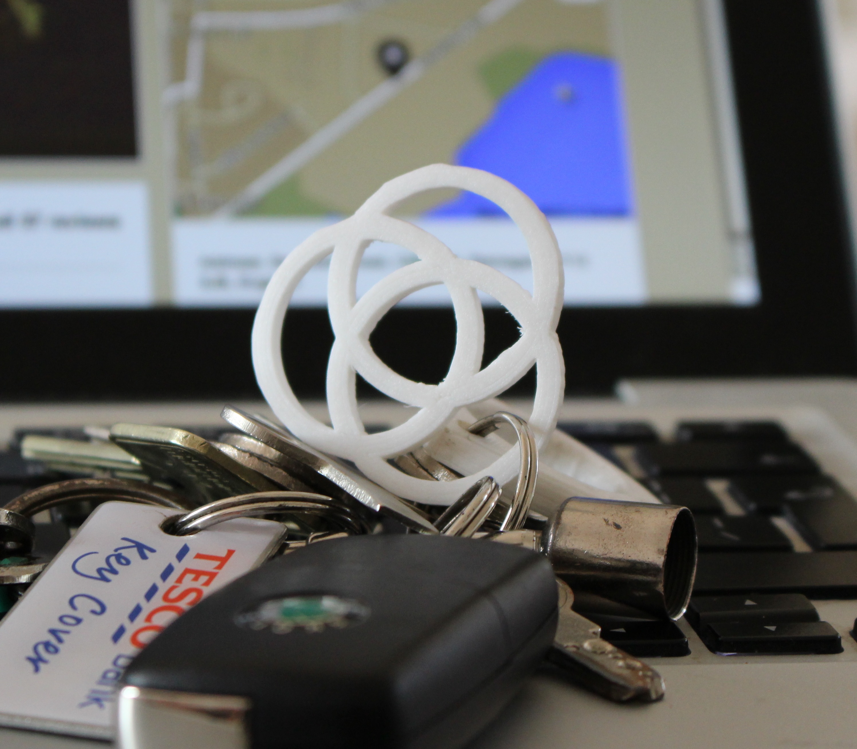Customizable Reuleaux polygon construction keyring