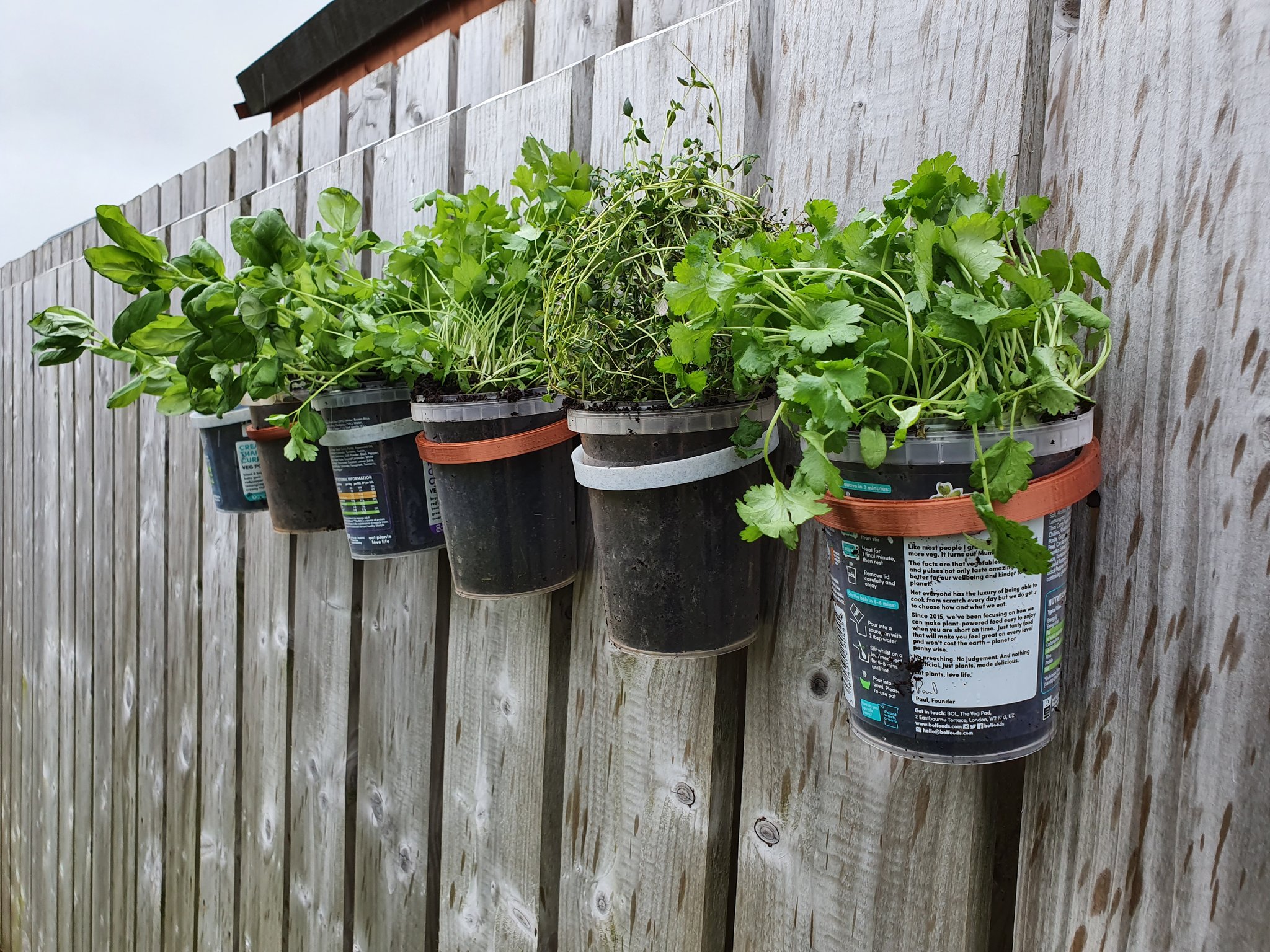 Floating recycled herb garden (pot holder)