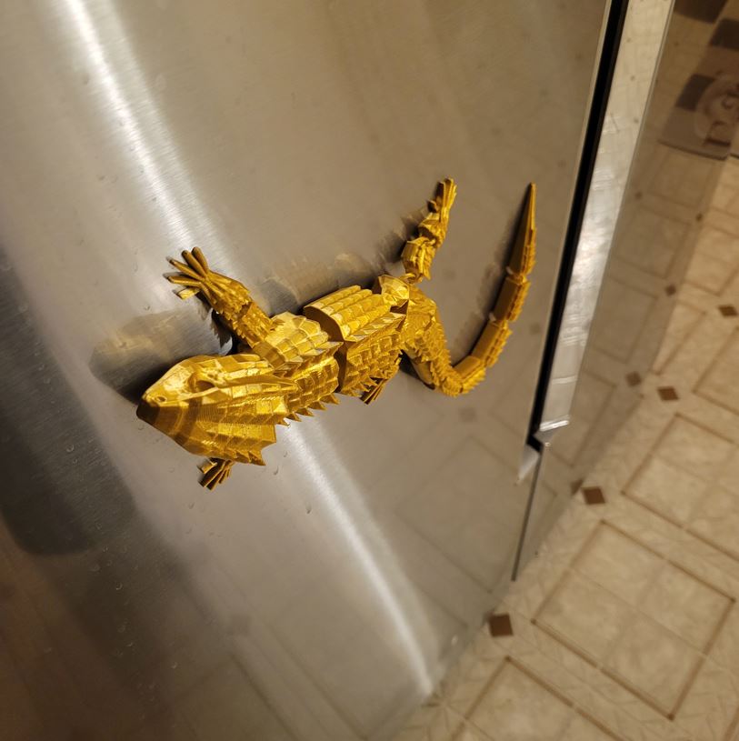 Magnetic Crocodile Skink-Articulated / Tamarand the Brave