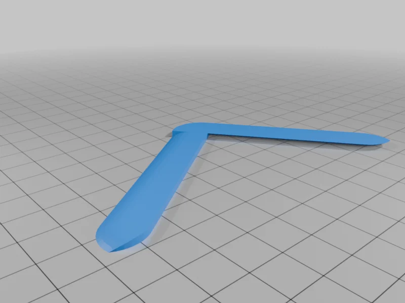 the boomerang!