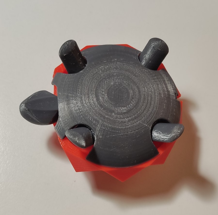 Squishy turtle without a name