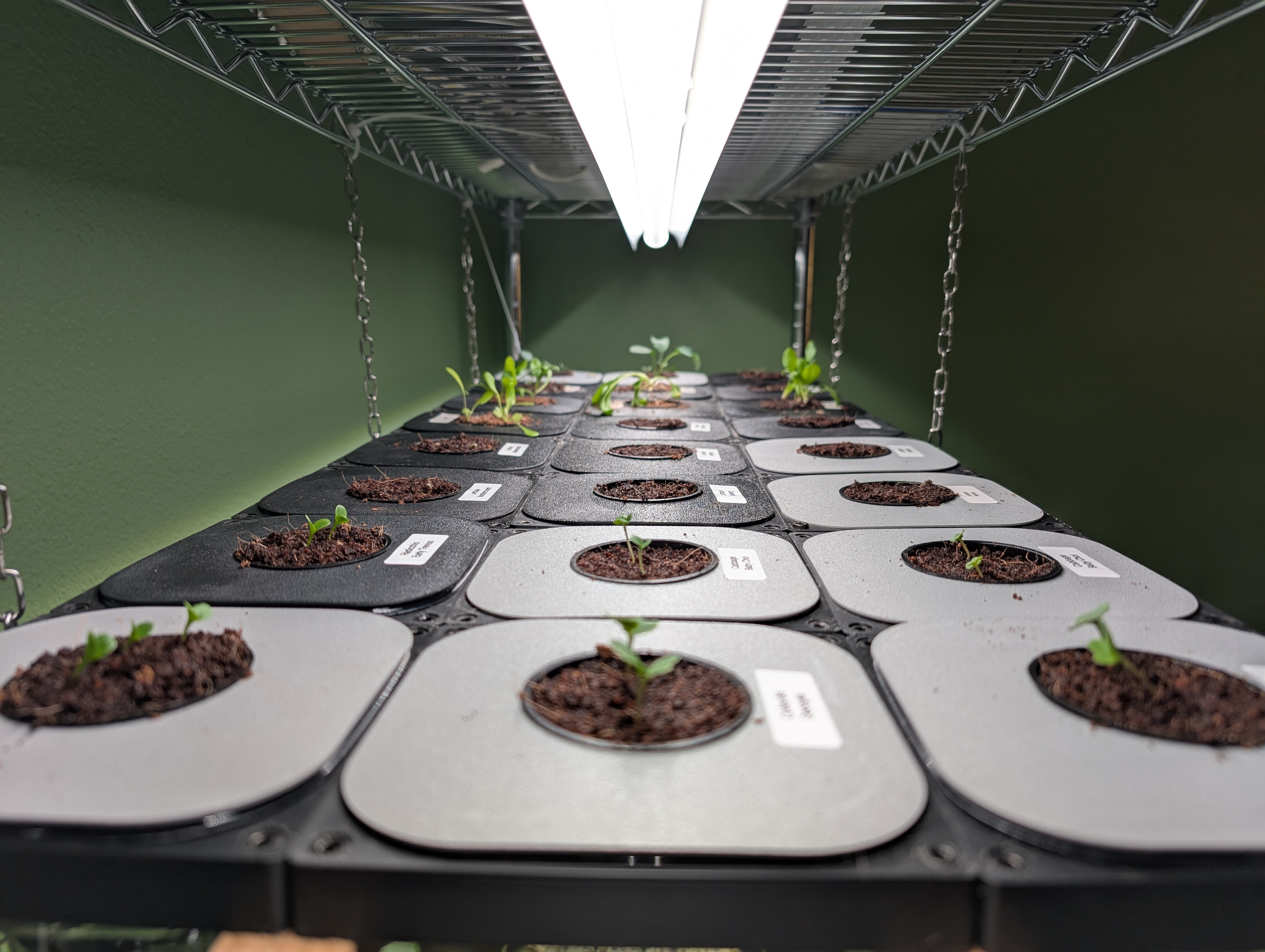 Parts for Kratky hydroponics in square deli containers