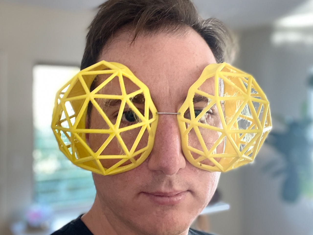 Bug Eye Goggles