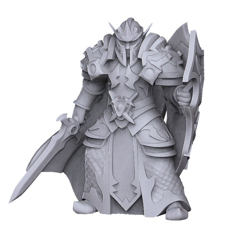 Elf paladin